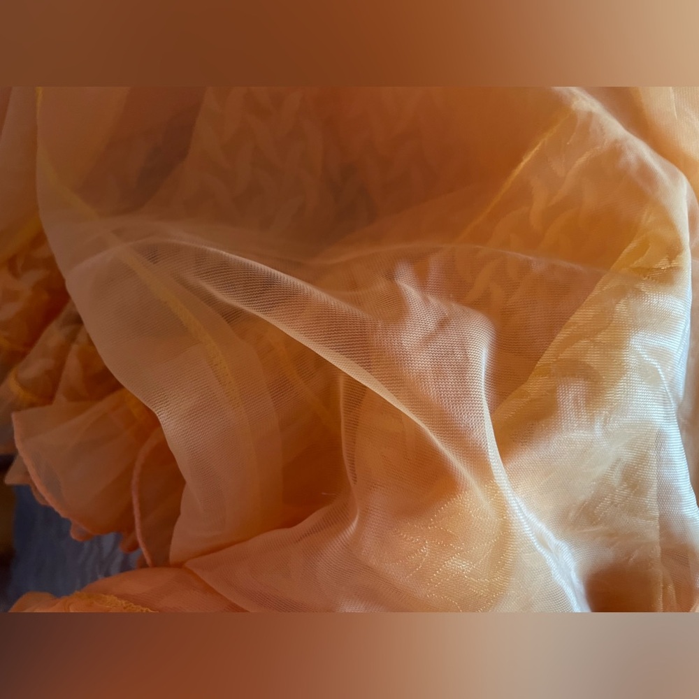 Vintage Ruffled Apricot Robe - Picture 9 of 10